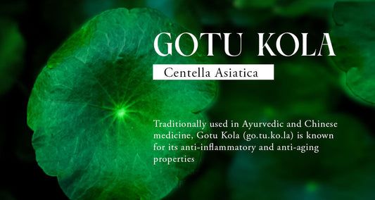 Gotu Kola: Benefits That Will Transform Your Hair