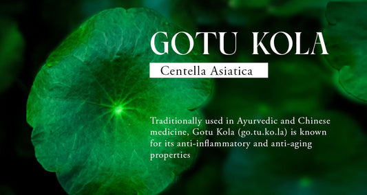 Gotu Kola: Benefits That Will Transform Your Hair 