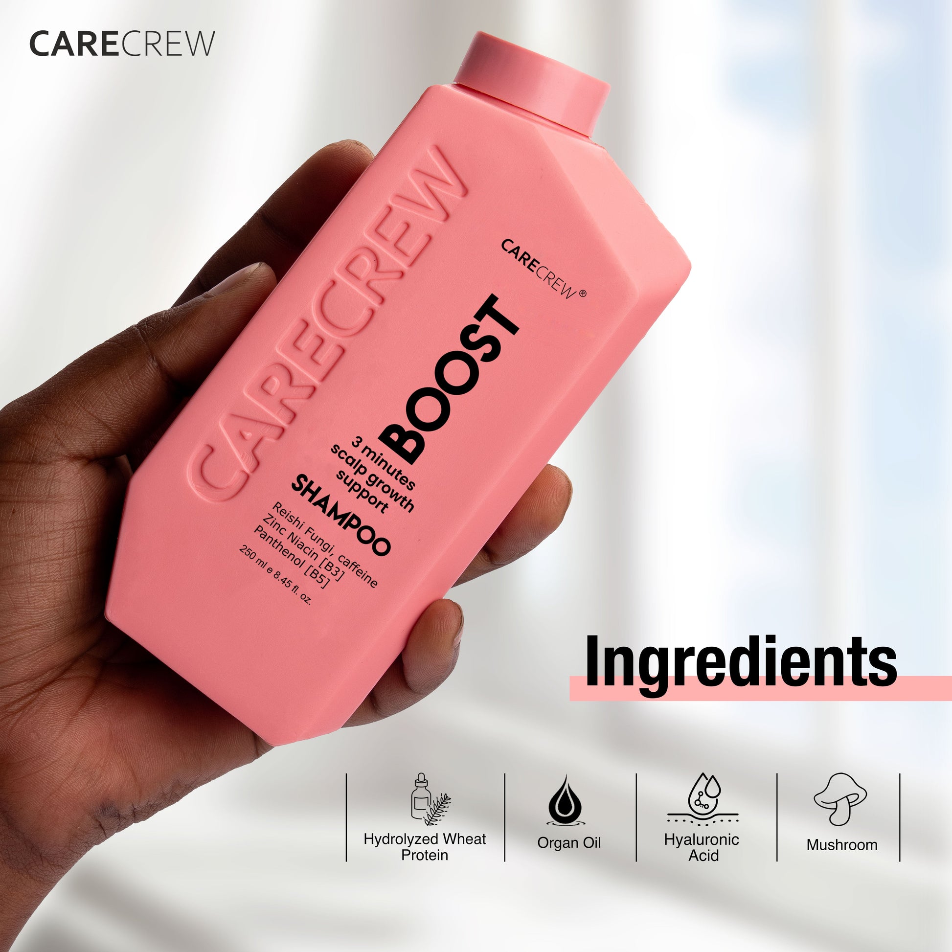 CareCrew Boost Shampoo and Conditioner 