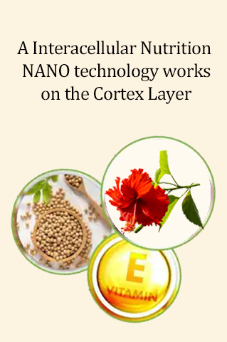 CareCrew Nanoplastia Hair Treatment 